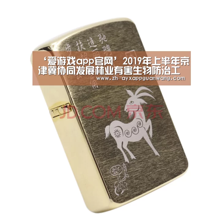 爱游戏app官网