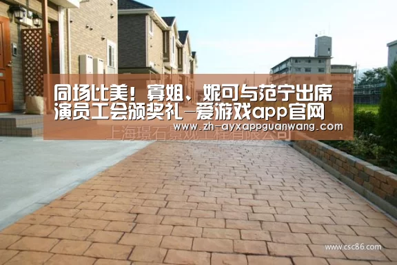 同场比美!寡姐、妮可与范宁出席演员工会颁奖礼-爱游戏app官网(图4) 爱游戏app官网