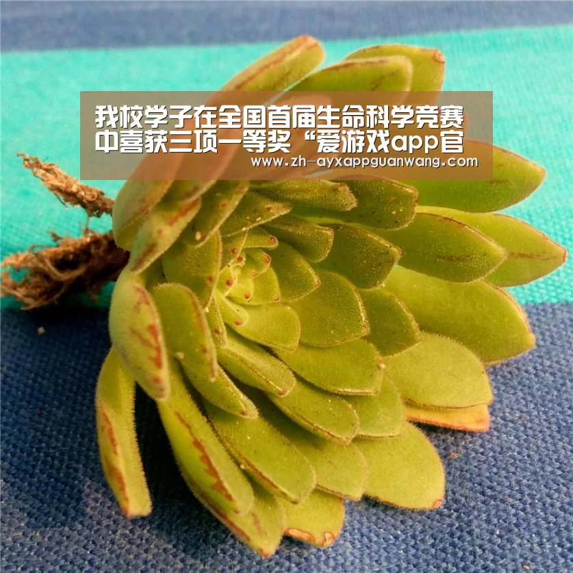 我校学子在全国首届生命科学竞赛中喜获三项一等奖“爱游戏app官网”(图2) 爱游戏app官网