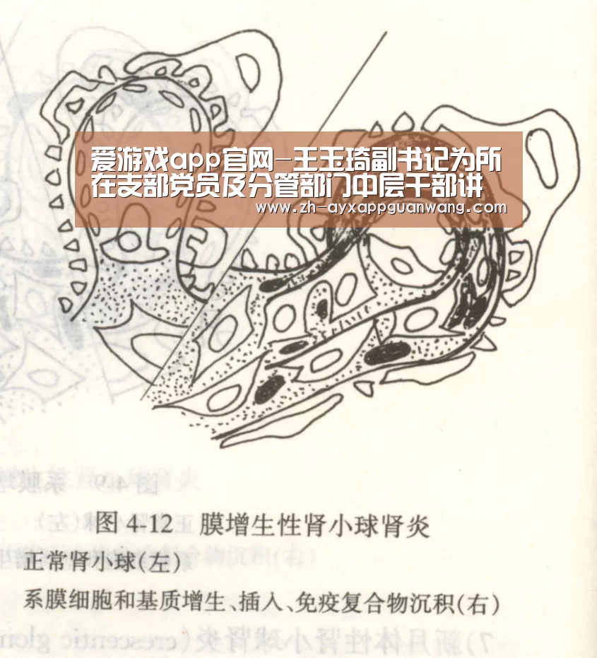 爱游戏app官网-王玉琦副书记为所在支部党员及分管部门中层干部讲党课(图1) 爱游戏app官网