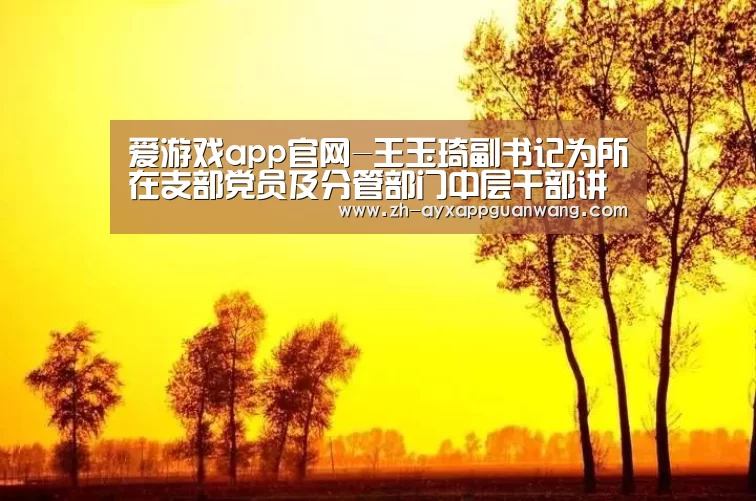 爱游戏app官网-王玉琦副书记为所在支部党员及分管部门中层干部讲党课(图2) 爱游戏app官网