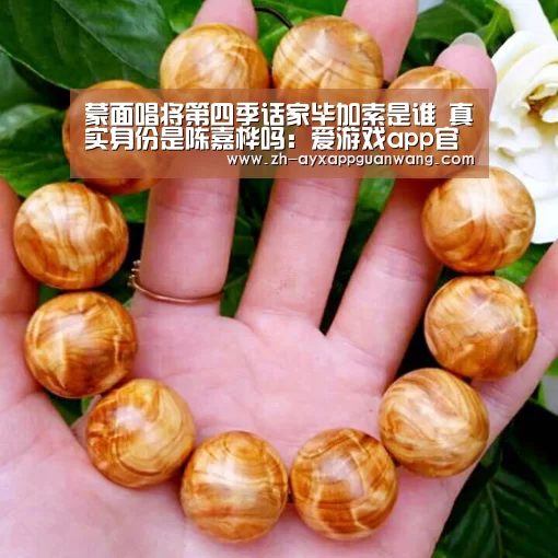 蒙面唱将第四季话家毕加索是谁 真实身份是陈嘉桦吗:爱游戏app官网(图1) 爱游戏app官网
