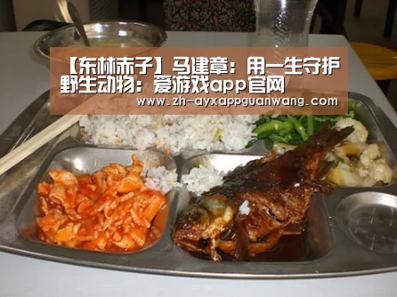 【东林赤子】马建章:用一生守护野生动物:爱游戏app官网(图1) 爱游戏app官网