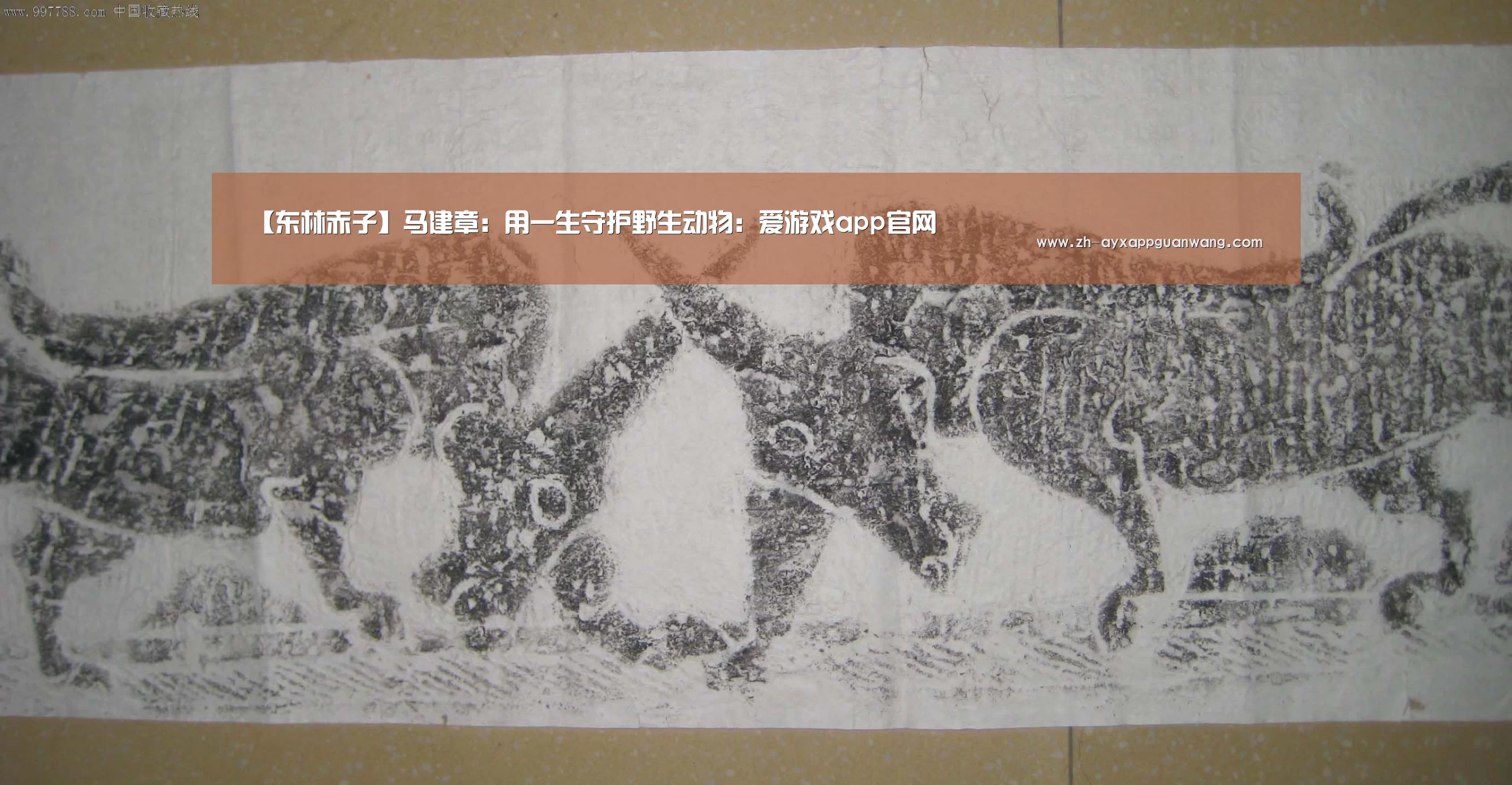 【东林赤子】马建章:用一生守护野生动物:爱游戏app官网(图2) 爱游戏app官网