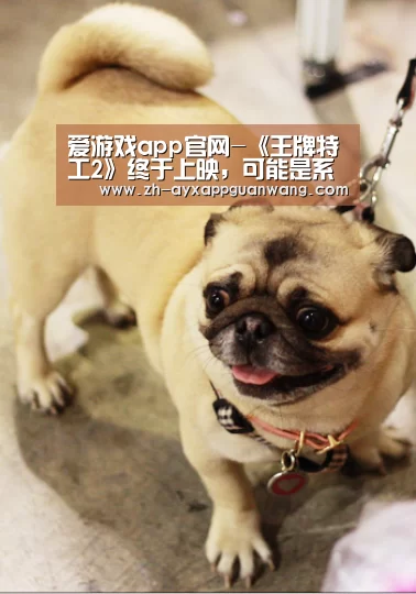 爱游戏app官网-《王牌特工2》终于上映,可能是系列最终章? | 跟着电影去旅行(图1) 爱游戏app官网